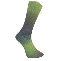 Ferner-Sockenwolle-Farbe-954-26